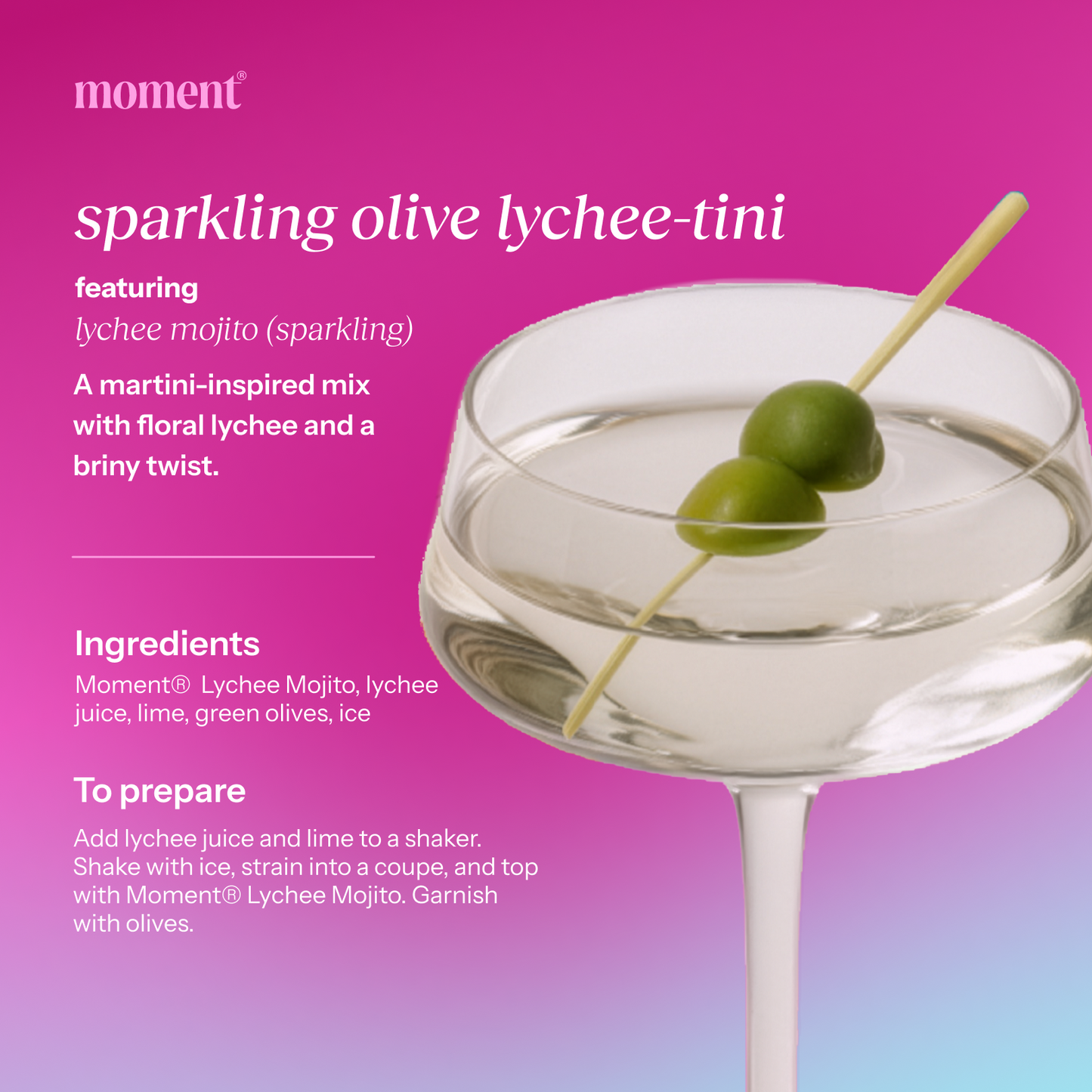 lychee mojito (sparkling mocktail | 12 pack)