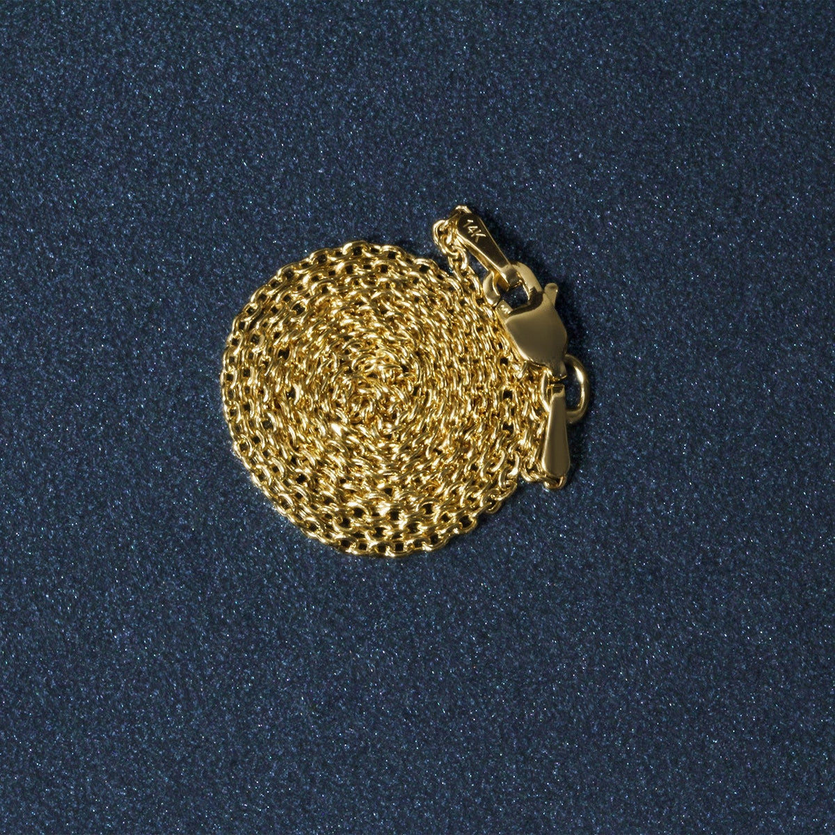 Chaîne de cou en or jaune 14 carats maille Forsantina Lite, 1,5 mm