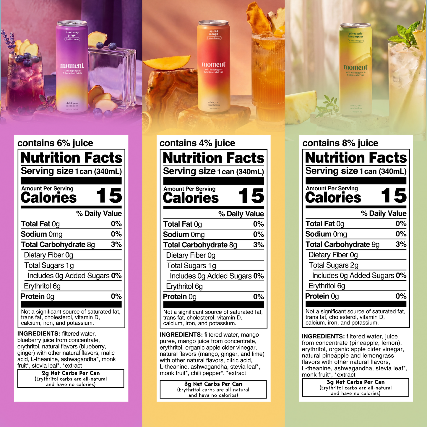 botanical tea variety (botanical tea | 24 pack)