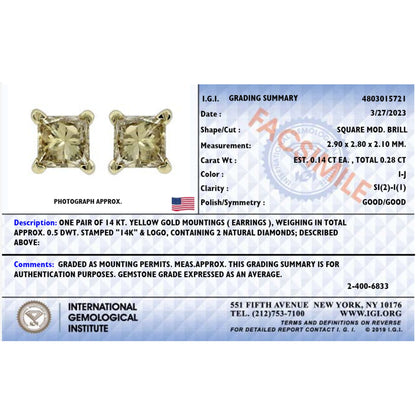IGI Certified 14K Yellow Gold 1/4 Cttw Princess-Cut Diamond Solitaire Stud Earrings