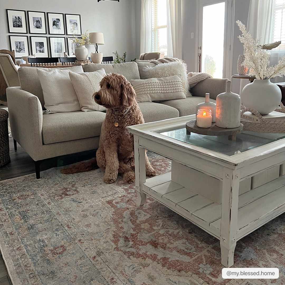 Emke Flat Pile Washable Rug - Clearance