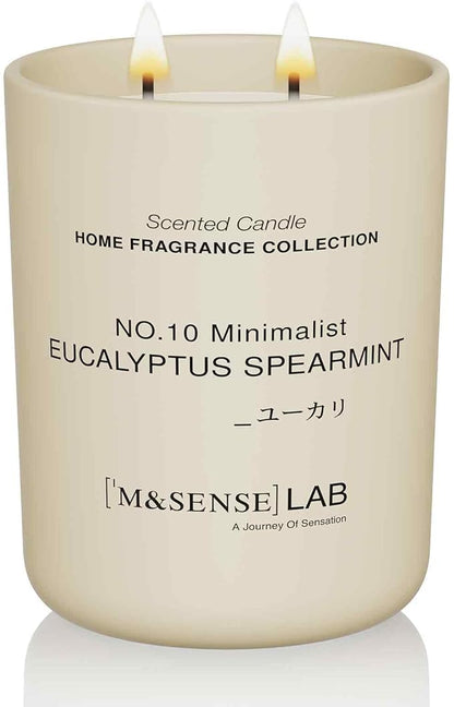 M&SENSE Natural Soy Candle| Eucalyptus Spearmint | 16.6 oz, 95H Burn | Minimalist Scented Candle for Relaxation, Gifting, Home Décor | for Bedroom, Office, Party Large