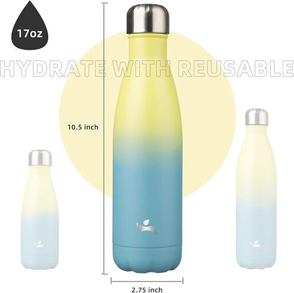 Insulated Water Bottles,17 oz Double Wall Stainless Steel Vacumm Metal Flask for Sports Travel,Sandy Beach