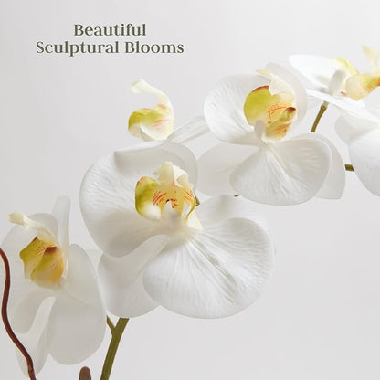 Faux White Orchid Plant, Premium Artificial Indoor Flower Display Stands 25-Inches with Beautiful Sculptural Blooms and Foliage That Lasts Forever, Grey Planter Pot Included