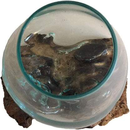 Hand Blown Molten Glass & Teak Wood Terrarium/Vase/Fish Bowl - Premium Quality (12" - 14" High)