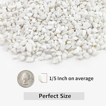 10LB Succulent and Cactus Gravel, 1/5 Inch White Natural Decorative Polished Pebbles for Landscaping, River Rocks for Plants, Vases, Aquariums, Terrarium and Outdoor Gardening