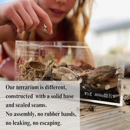 THE MASONRY | Acrylic Terrarium for Isopod Enclosure | 8"x4"x4" | Sling Tarantula Enclosure and Bug Tank | Small Spider Habitat | Terrarium Pre-Assembled with Magnetic Lock