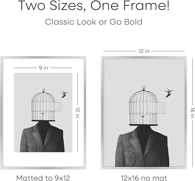 Homeforia 12 x 16 Picture Frame Silver, High End Metal 12x16 Poster Frames with Mat 9x12 Photo, 12 x 16 Silver Frame Matted to 9 x 12 in Print, 16by12 Hanging Frame, Tempered Glass, Wall Kit, Set of 1