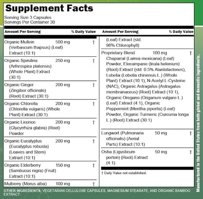 Clean Nutra Mullein NAC Supplement Spirulina Chlorella Ginger Licorice Mulberry Astragalus Root Oregano Turmeric with Chlorophyll Berries Detox Cleanse Respiratory Lung Health 90 Capsules