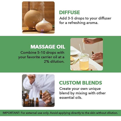 Majestic Pure Tea Tree Essential Oil with Glass Dropper - Huge 4 Fl Oz - 100% Pure and Natural Tea Tree Oil - Premium Grade Essential Oils for Diffuser, Aromatherapy, Soap and Candle Making