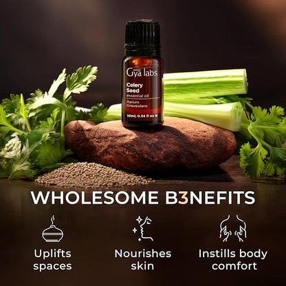 Gya Labs Celery Seed Essential Oil for Diffuser - 0.34 Fl Oz - 100% Pure Natural Celery Seed Oil for Skin & Face, Massage, Candle Making Scent