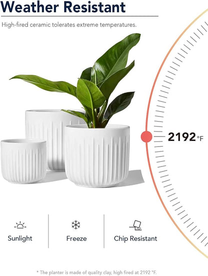 LE TAUCI Fluted Ceramic Planters Set of 3 – 8.3/7 / 5.7 in White Cylinder Indoor Plant Pots with Drainage Plug & Mesh, Matte Glazed Stoneware Flower Pots for Succulent Herb Cactus