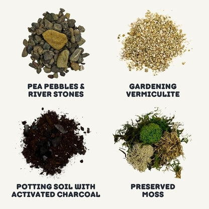 Cute Farms Terrarium Starter Kit | Moss, Vermiculite, Soil, Pebbles, Plant Food, Finishing Tools, Build and Care Guide | DIY Succulent Terrarium for Adults and Kids (Medium)
