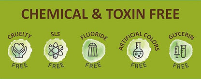 Bentodent Remineralizing Food Grade Organic Calcium Bentonite Clay Toothpaste Fluoride Free Natural Toothpaste for Adult & Kids - Mineral Toothpaste Sensitive Teeth Whitening (Premium Mint)