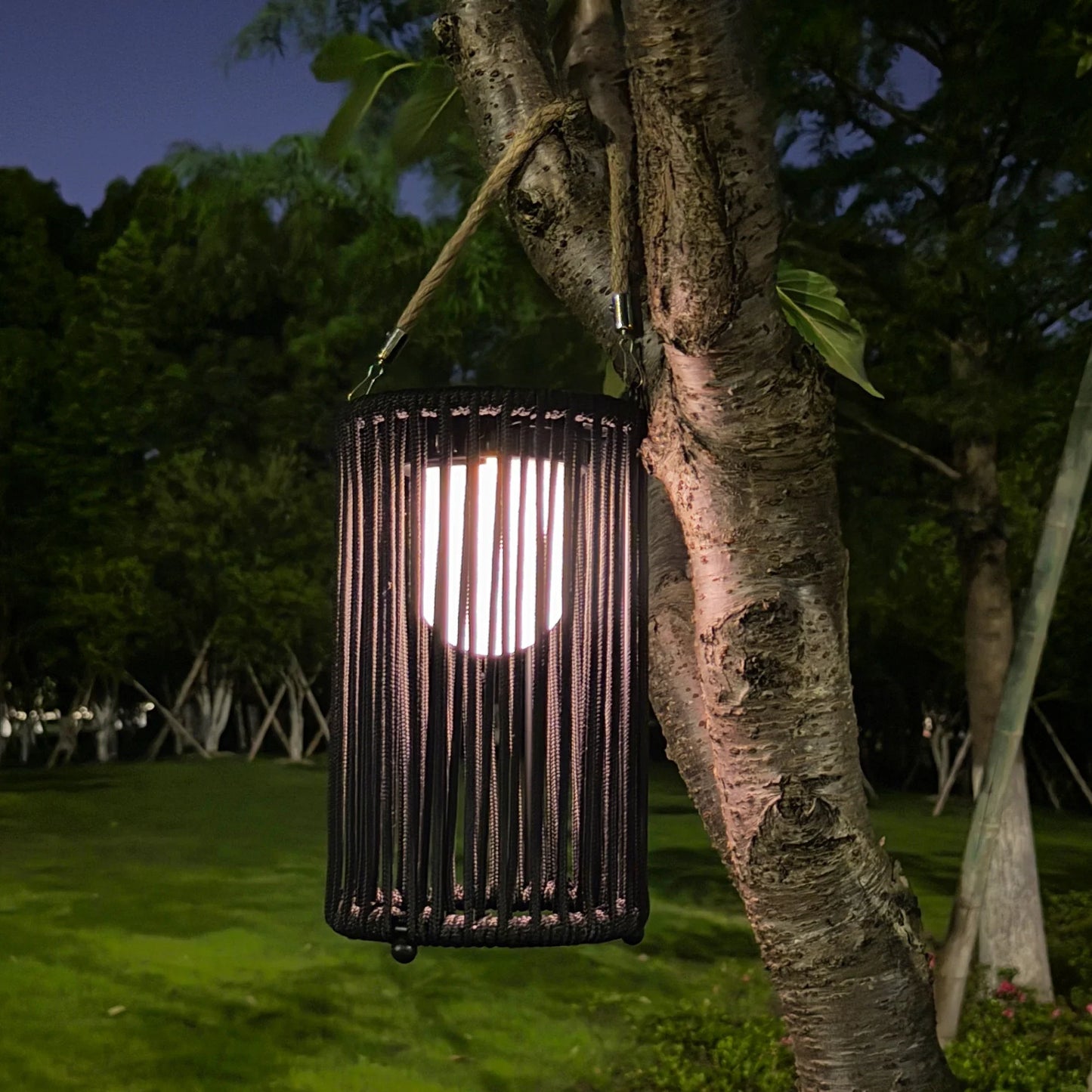10.5'' High Solar Lantern Outdoor Table Lamp Black 2Pcs