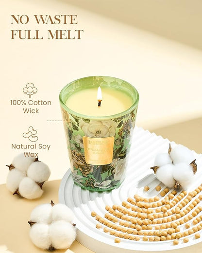 M&SENSE Eucalyptus Sage Scented Candle, 14.1oz 60H Burn Time Slow Burning, Natural Soy Candles Aromatherapy Relaxing Sleep, Home Fragrance Housewarming Gifts