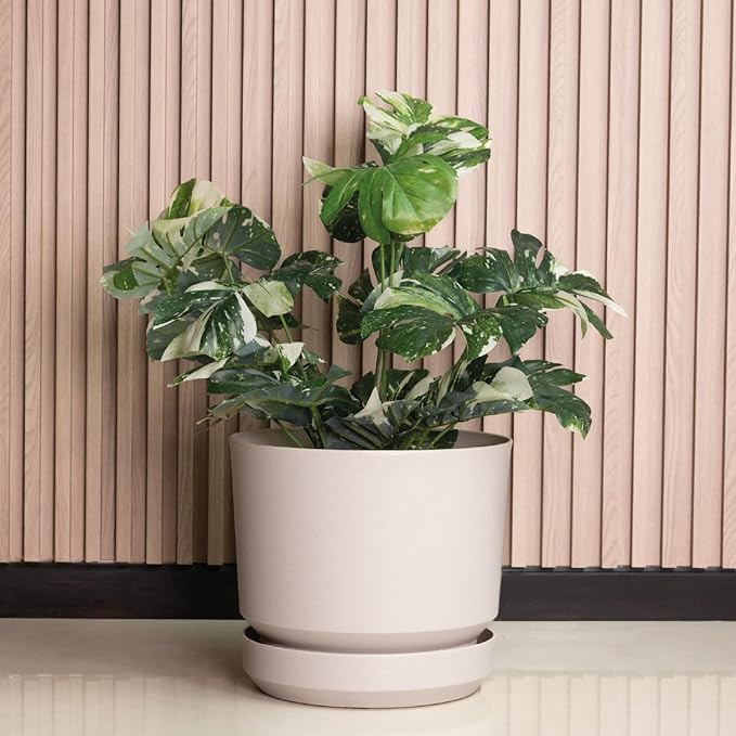 Elly Décor 8 inch Plastic Cylinder Planter Pot with Self-Watering Saucer and Drainage Hole,Lightweight & Extremely Durable, 8"x 8", Ivory