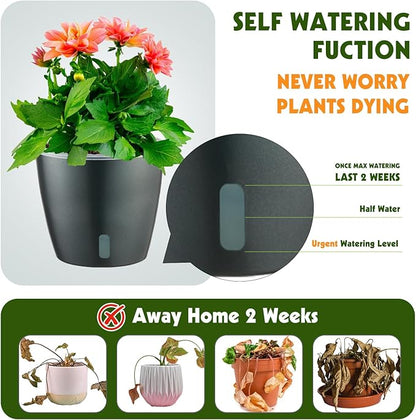 Self Watering Pots for Indoor Plants, 6-Pack 6.7'' Self Watering Planter with Drainage Holes, Small African Violet Pots with Water Indicator, Clear Wick Orchid Pot, Grey