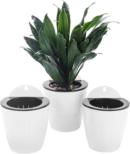 3 Pack Self Watering Wall Hanging Planter Pots Vertical Garden Window Hang Mount Indoor Outdoor Plant Flower Basket for Kitchen Herbs Balcony Railing Shelf Fence Bedroom Trellis Decor Modern White Box
