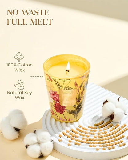 M&SENSE Orange Goji Scented Natural Soy Wax Candle, 14.1oz 60 Hours Long Lasting Slow Burning Candles for Home Decor, Aromatherapy Candle for Stress Relief