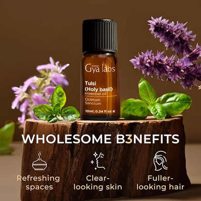 Gya Labs Holy Basil (Tulsi) Essential Oil - 0.34 Fl Oz - 100% Pure Natural Holy Basil Oil for Diffuser & Candle Making Scent
