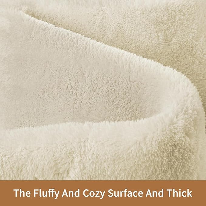 Sour Lemon 5x7 Area Rugs for Living Room, Soft Large Area Rug Fluffy Rugs for Bedroom，Machine Washable Area Rug Non Slip Carpet Rug for Living Room Playroom Kids Room Home Decor