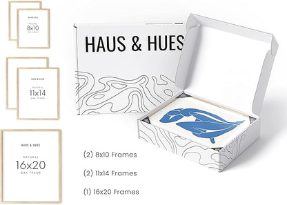 HAUS AND HUES Picture Frame Set - Set of 5 Wall Frames Collage Set, Collage Photo Frames, Natural Wood Picture Frames, Gallery Wall Decor, (Two 8x10, Two 11x14, One 16x20 Framed Beige)