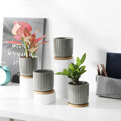 TAMAYKIM 4 Inch Cylinder Ceramic Plant Pots with Drainage Holes & Saucers, Glazed Green Grey Small Boho Planters with Trays for Indoor Flower, Snake Plants, Succulent, Cactus, Set of 4