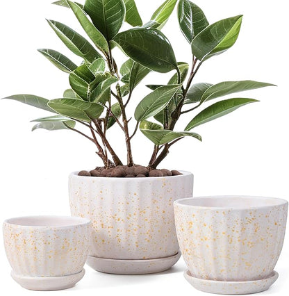 Ceramic Plant Pots with Drainage Holes and Saucers, Round Flower Pots for Indoor Plant, Diameter 3.3/4.3/5.5 Inches Small Flower Planters Set of 3