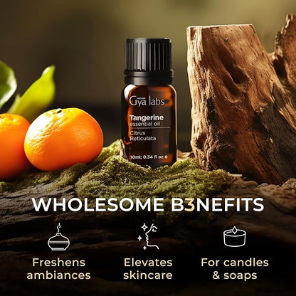 Gya Labs Tangerine Essential Oil for Diffuser - 0.34 Fl Oz - 100% Pure Natural Tangerine Oil for Skin, Massage, DIY Fragrances & Candle Making Scent
