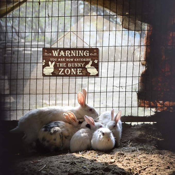 Putuo Decor Funny Rabbit Sign Bunny Rabbit Home Decor Gift Bunny Mom Bunny Lover 12 x 6 Inch (The Bunny Zone) Easter Decorations