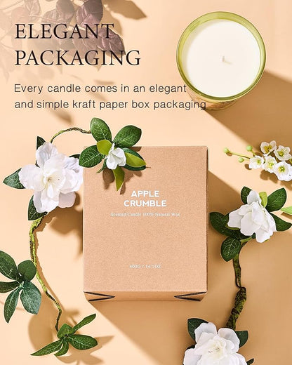 M&SENSE Sage Citrus Scented Natural Soy Wax Candle, 14.1oz 60 Hours Long Lasting Slow Burning Candles for Home Decor, Aromatherapy Candle for Stress Relief
