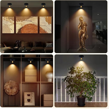 Rechargeable Spotlight, Battery Powered Picture Lights with Remote, Dimmable Plant Spot Light Indoor, Cordless Accent Lighting, LED Uplight for Tree Dartboard Decor Painting Artwork Photo