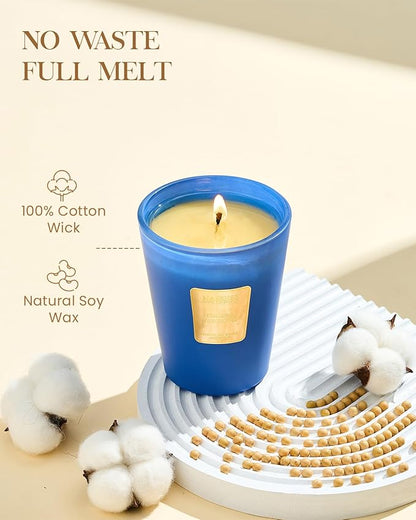 M&SENSE Peaceful Patchouli Scented Natural Soy Wax Candle, 14.1oz 60 Hours Long Lasting Slow Burning Candles for Home Decor, Aromatherapy Candle for Stress Relief