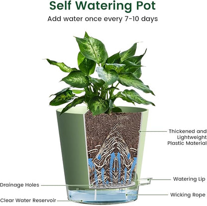 6 inch Self Watering Pots for Indoor Outdoor Plants, 3 Pack Flower Plant Pots with Drainage Holes and Clear Reservoirs, Visible Water Level, Plastic Planters with Wicking Rope, Green