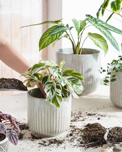 LE TAUCI Fluted Ceramic Planters Set of 3 – 8.3/7 / 5.7 in Star White Reactive Cylinder Indoor Plant Pots with Drainage Plug & Mesh, Glossy Stoneware Flower Pots for Succulents Herbs