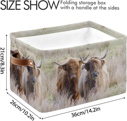 Highland Cows Storage Basket Cube Storage Bins Organizer Bag Collapsible Closet Shelf Baskets with handle for Baby Cloth Pet Toy Book 14.2×10.2×8.3 IN