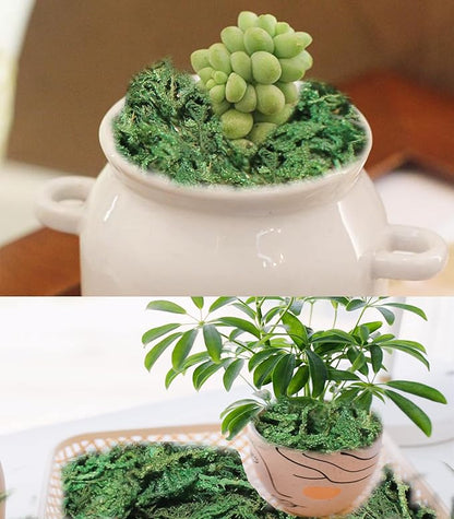 35 OZ Artificial Moss for Fake Plants and Planters - Decorative Faux Moss for Craft and Home Decor