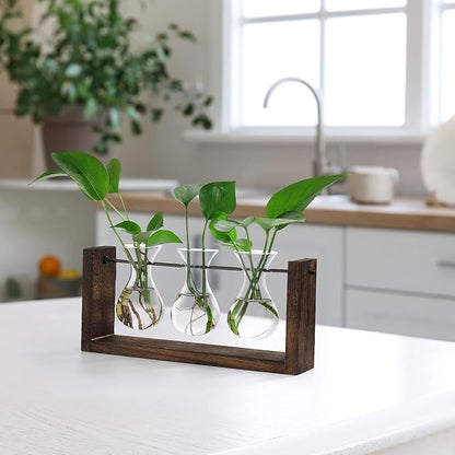 YIBOT Wall Hanging Planter Propagation Station, Plant Terrarium with Wooden Stand, Hydroponics Plants Home Office Living Room Decor Gift-3 Bulb Glass Vases