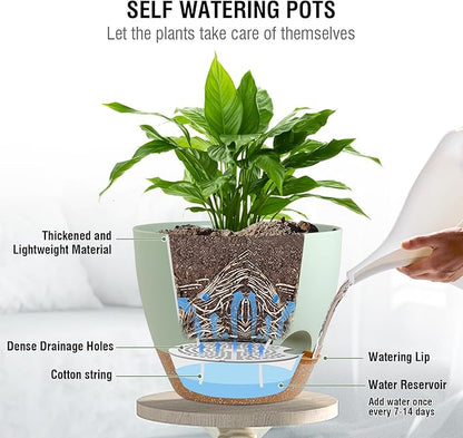 10 inch Self Watering Hanging Planters for Indoor Plants, 2 Pack Hanging Baskets for Outdoor Plants, Hanging Flower Pots with Drainage Holes & 2 Kinds of Plant Hangers for Home Decor, Green