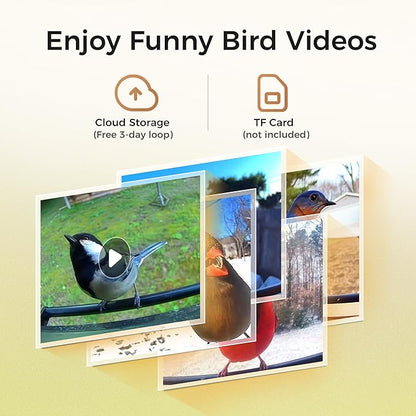 TT Nature Smart Squirrel-Proof Bird Feeder with Camera 2K, Solar Powered, AI Bird Species Recognition, Instant Notification, CCPA Data Security, Bamboo 3.2L Large Capacity, Ideal Gift