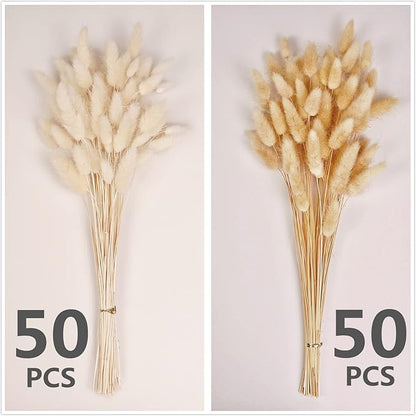 120 PCS Bunny Tails Dried Flowers, Dried Pampas Grass Bouquet, Boho Table Decor, White Pampas Grass Small, Dried Bunny Tails, Pampas Grass for Wedding, Home, Rustic Party, Baby Shower Decorations