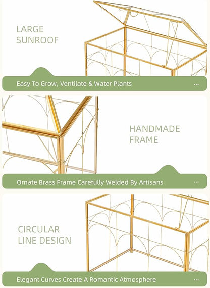 Handmade Glass Planter Terrarium with Lid, Indoor Tabletop Centerpiece Display Box Modern Decor DIY Gift Plant Terrarium Container for Succulent Cacti Air Plants Flower (Gold)