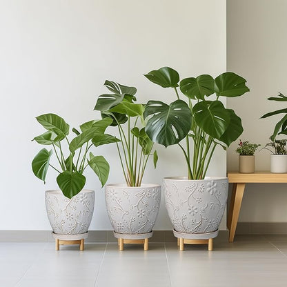 8 Inch Ceramic Pots for Plants Large Planter Pot with Drainage Hole and Saucer Round Flower Pot for Indoor Outdoor Decor, White