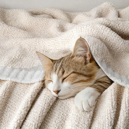 MIULEE Cream Super Soft Throw Blanket for Bed, Twin Size Cozy Fluffy Warm Blankets Knit Blankets for Couch, Sofa, Chair, Living Room, Camping, Picnic, 60 x 80 inch