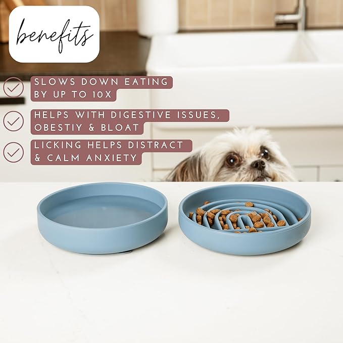 The Slowdown Bowl Silicone Slow Feeder for Cats & Kittens, Slow Eating Mealtime Solution with Modern Lick Mat Design, Reduces Gulping, Fits 1 Cup 6” Across x 1.25” Tall, Small-Spruce