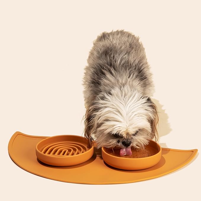 The Slowdown Bowl Silicone Slow Feeder for Cats & Kittens, Slow Eating Mealtime Solution with Modern Lick Mat Design, Reduces Gulping, Fits 1 Cup 6” Across x 1.25” Tall, Small-Spruce