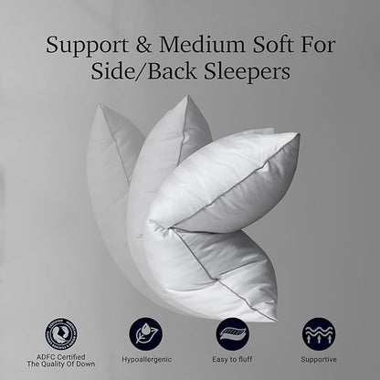 Hotel Grand Softy-Around Feather Down Pillows King Size Set of 2 Packs White Strip 100% Cotton Fabric Bed Pillows for All Position Sleepers,36"x20"/2 Packs