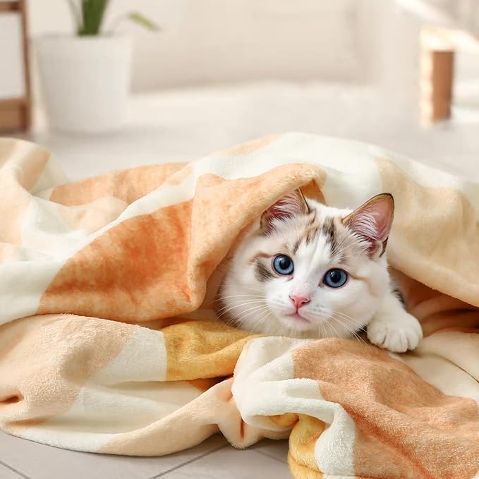 Lahome Terracotta Throw Blanket Soft Cozy Fluffy Warm Throw Blanket for Couch Reversible Geometric Fuzzy Blankets for Bed Sofa Chair, Orange 50''x60''