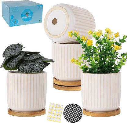 TAMAYKIM 4 Inch Ceramic Plant Pots with Drainage Holes, Modern Flower Planter with Saucer for Indoor Plants, Succulent, Cactus & Herbs, White, Set of 4 (Plants Not Included)
